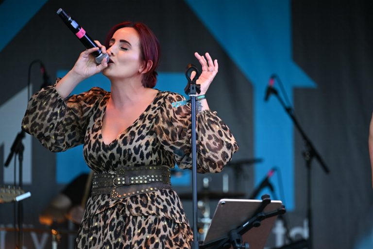 Bee Country Singer / Songwriter